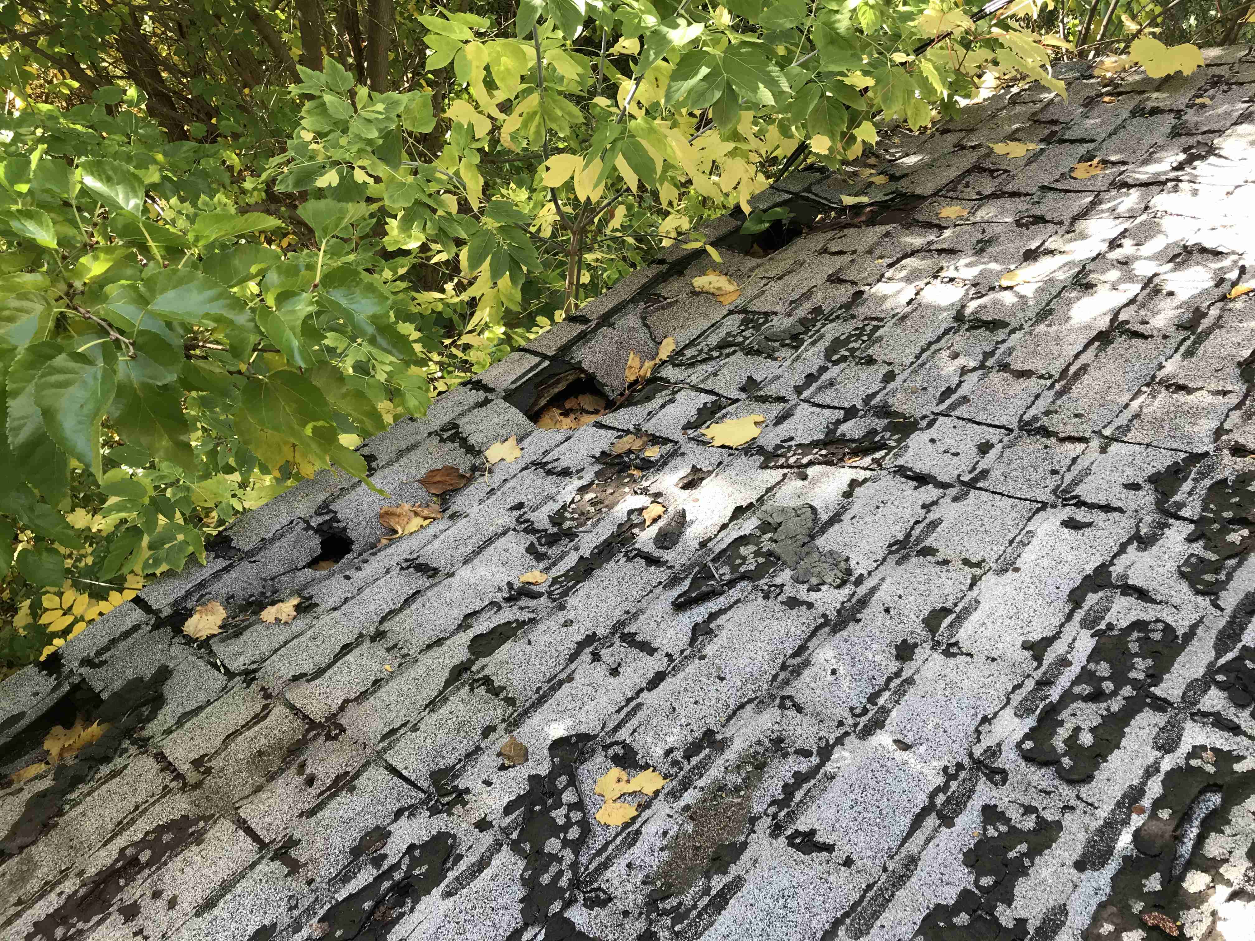 Photo Oct 13, 3 49 05 PM.jpg